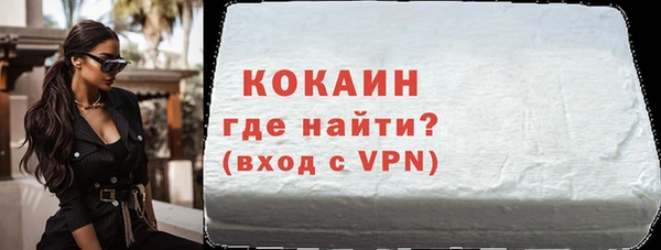 сатива Бородино
