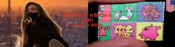 сатива Бородино