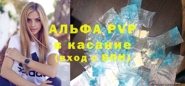 сатива Бородино