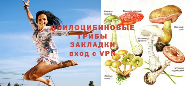 сатива Бородино