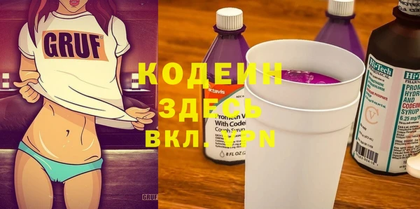 сатива Бородино