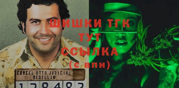 сатива Бородино