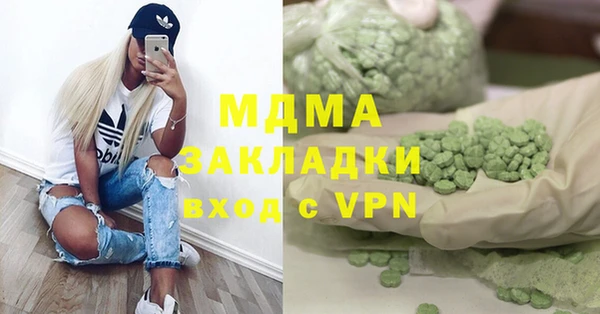 сатива Бородино